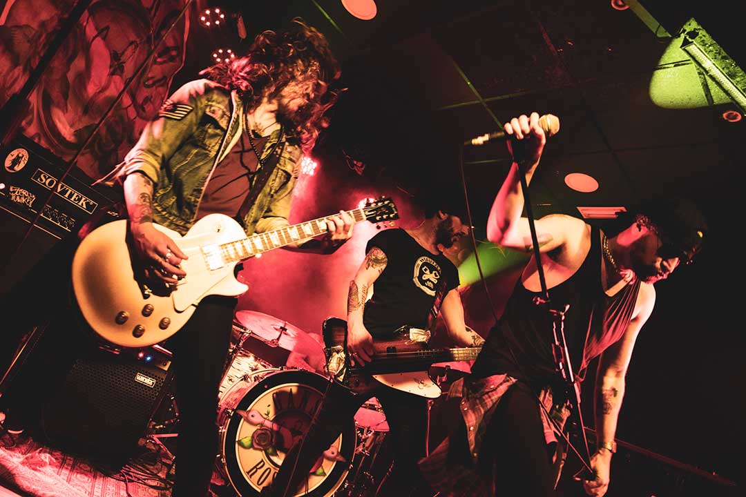 Gansos Rosas + Bed of Rosas en Logroño 2024