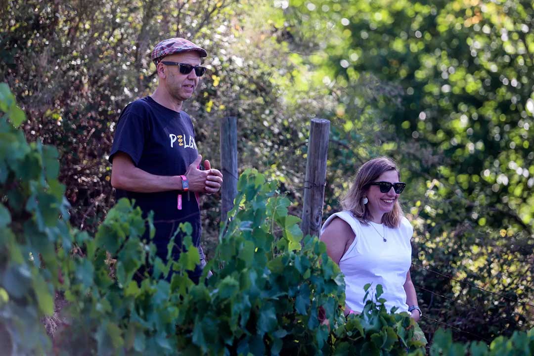 Visita + cata en Bodega VidAs