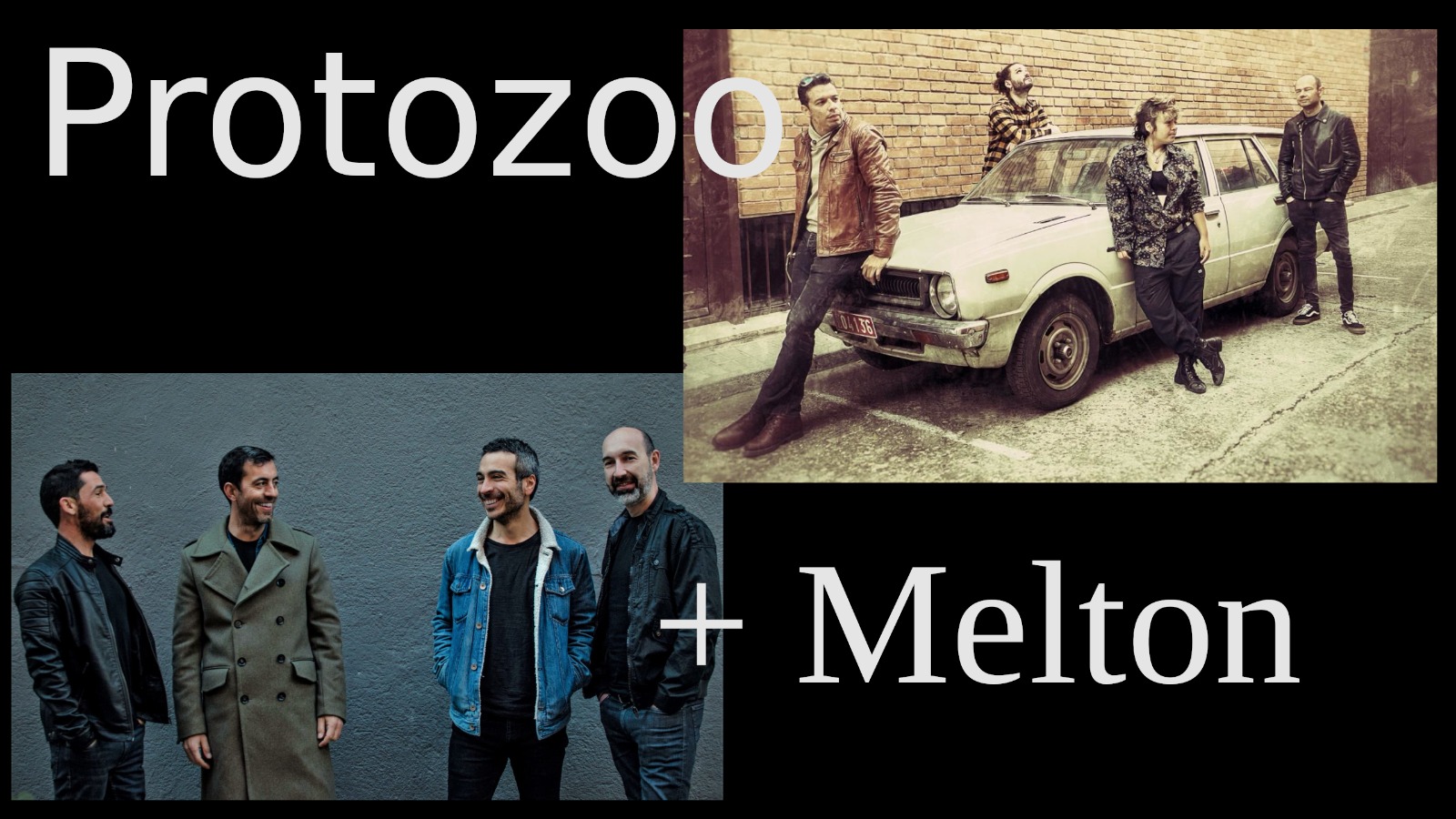 Protozoo + Melton